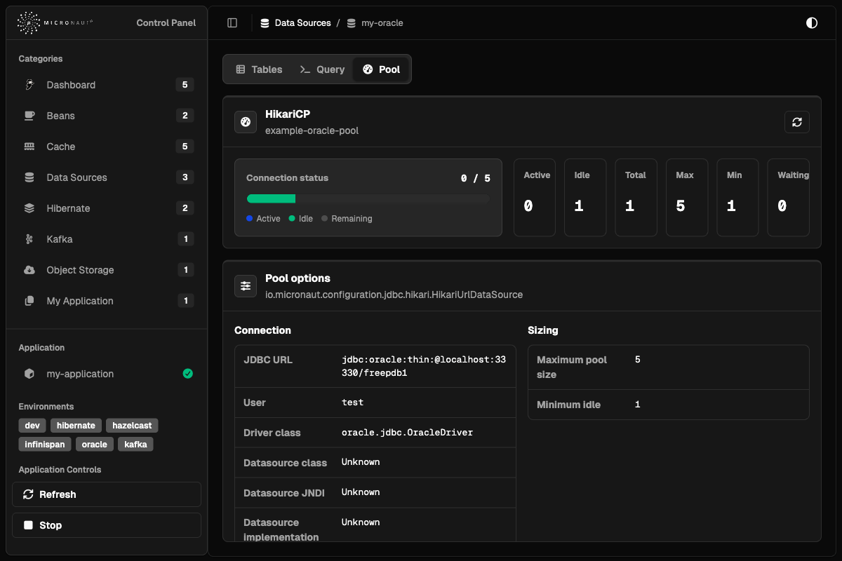Datasource connection pool details